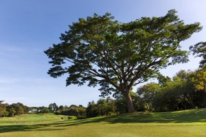 Golfclub Chiang Rai 3- klein